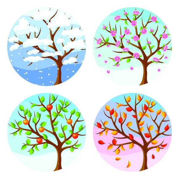 Čtyři Sezóny Ilustrace Stromů Krajiny Zimě Jaře Létě Podzim — Stockový vektor