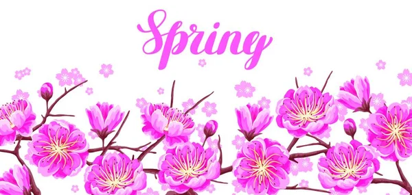 Spring Banner Sakura Cherry Blossom Floral Japanese Ornament Blooming Flowers — Stock Vector