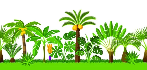 Modelo Sin Costuras Con Palmeras Tropicales Plantas Tropicales Exóticas Ilustración — Vector de stock