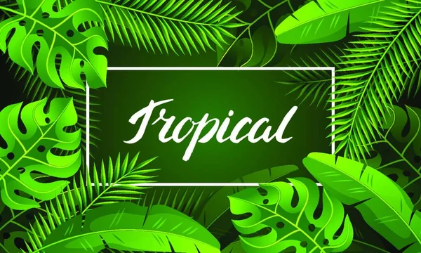 Banner Trópusi Pálmalevéllel Egzotikus Trópusi Növények Dzsungel Természetének Illusztrációja Banner — Stock Vector