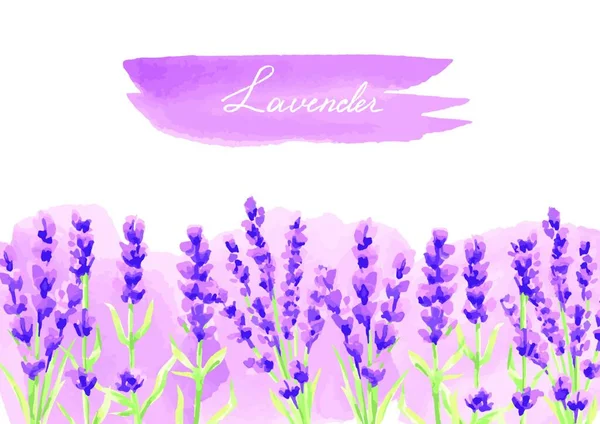Lavendel Bloemen Achtergrond Ontwerp Lavendel Bloemen Achtergrond Ontwerp Aquarel Natuurlijke — Stockvector