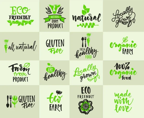 Eco Organic Icon Badge — Stock Vector