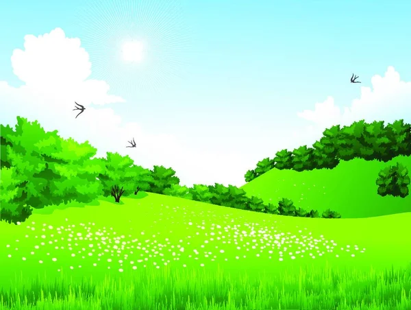 Paysage Vert Vectoriel Avec Arbres Nuages Fleurs Pré Été — Image vectorielle