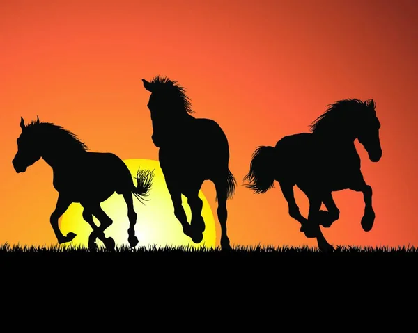 Άλογο Σιλουέτα Φόντο Ηλιοβασίλεμα Εικονογράφηση Φορέας — Διανυσματικό Αρχείο
