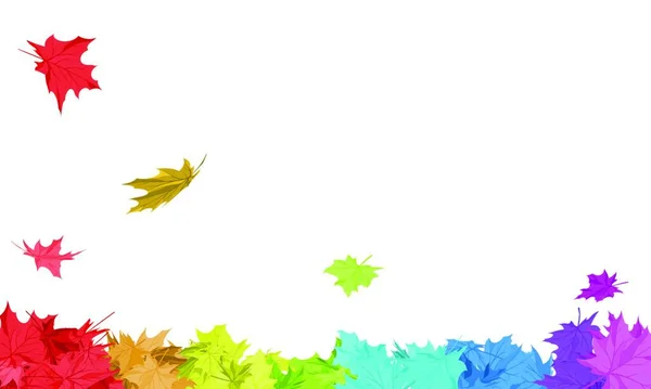 Herfst Frame Met Dalende Esdoorn Bladeren Regenboogkleuren Witte Achtergrond Elegante — Stockvector