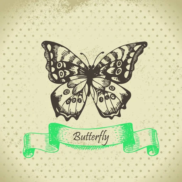 Pillangó Kézzel Rajzolt Illusztráció — Stock Vector