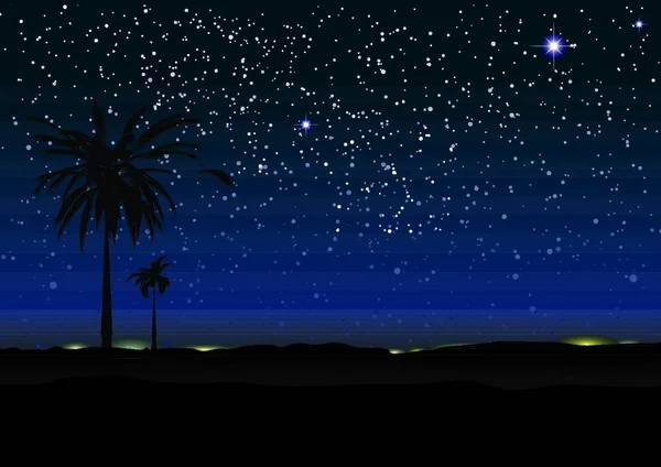 Cielo Nocturno Con Estrellas Palmeras Silueta — Vector de stock