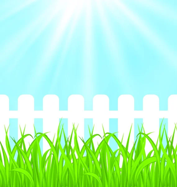Abbildung Frisches Grünes Gras Über Holz Zaun Hintergrund Vektor — Stockvektor