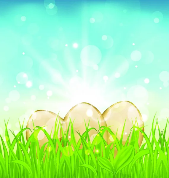 Illustration Easter Background Eggs Grass Vector — Stock Vector