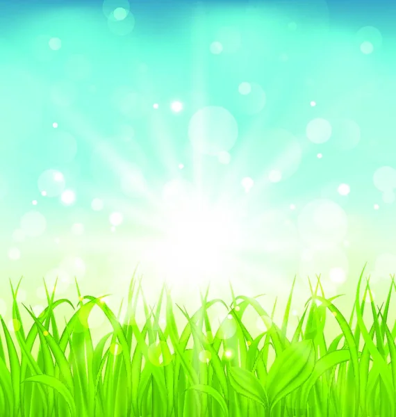 Illustration Frühling Natur Hintergrund Mit Gras Vektor — Stockvektor