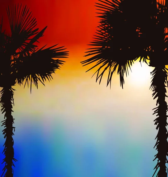 Illustration Tropische Palmen Hintergrund Sonnenuntergang Vektor — Stockvektor