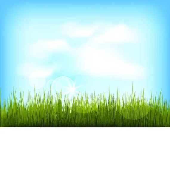 Illustration Fond Été Avec Herbe Verte Ciel Bleu Nuages Vecteur — Image vectorielle