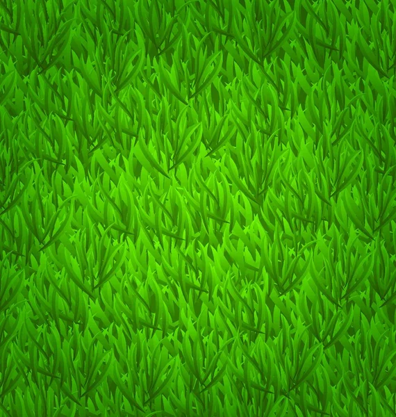図は緑の芝生フィールド 自然の背景 ベクトルします — ストックベクタ