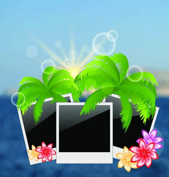 Illustration Set Photo Frame Palms Flowers Blurred Seascape Background Vector — Stock Vector