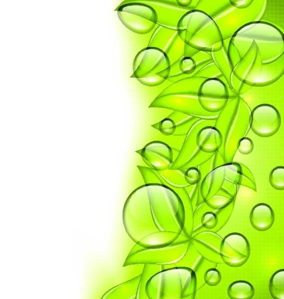 Ilustração Gotas Água Folhas Verdes Frescas Textura Espaço Cópia Para — Vetor de Stock