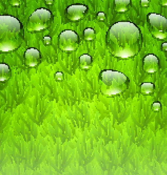 Illustration Umweltfreundlichen Hintergrund Mit Wassertropfen Auf Frischem Grünen Gras Textur — Stockvektor