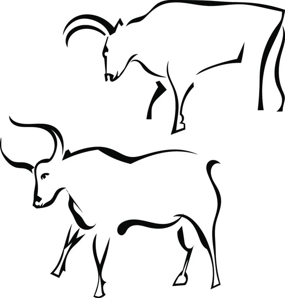 Dwa Byki Profilu Pastwisku Ilustracja Wektora — Wektor stockowy