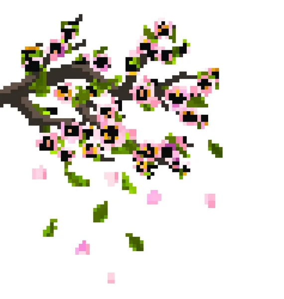Реалистичный Вишневый Цвет Ветвь Дерева Летающими Лепестками Изолированными Белом Фоне — стоковый вектор