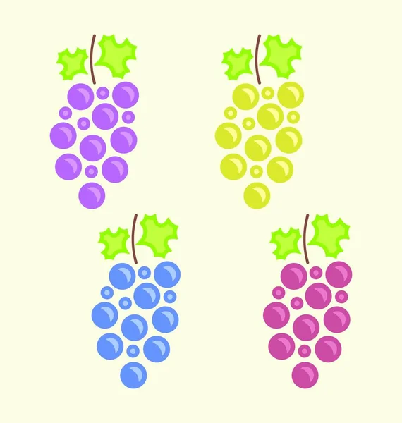 Набор Иллюстрации Разноцветные Гроздья Винограда Винтажные Плоские Иконки Вектор — стоковый вектор