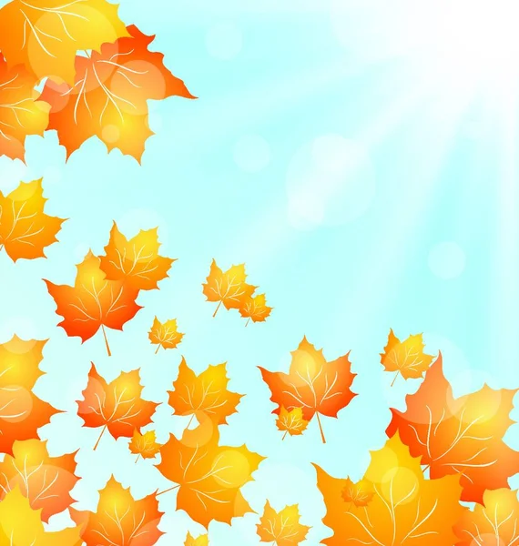 Ilustração Outono Fundo Com Maples Voador Raios Sol Vector —  Vetores de Stock