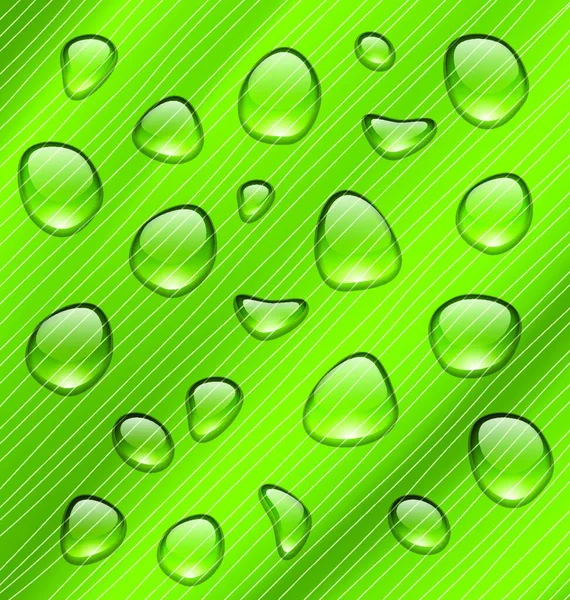 Εικονογράφηση Σταγόνες Νερού Φρέσκο Πράσινο Υφής Των Φύλλων Διάνυσμα — Διανυσματικό Αρχείο