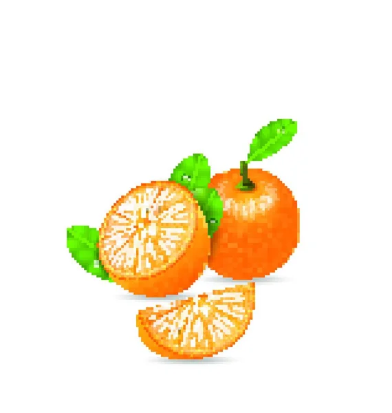 Illustration Set Orange Fruits Cut Slices Ripe Citrus Vector — Stock Vector