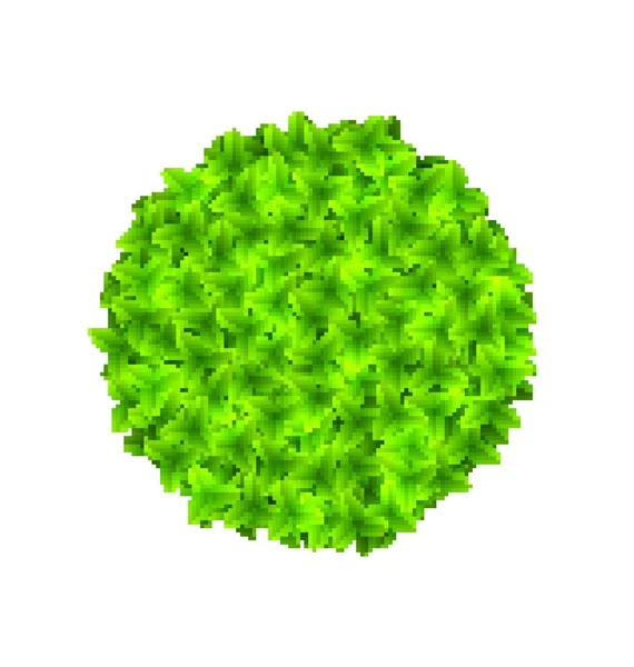 ベクトル分離された緑の葉で作られたイラストのエコフレンドリー円フレーム — ストックベクタ