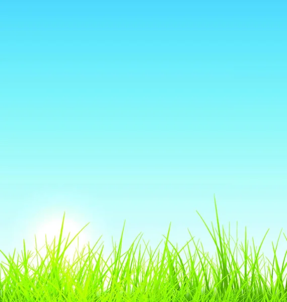 緑の新鮮な草と青空の夏の背景 緑の新鮮な草と青い空の夏の背景 ベクトルイラスト — ストックベクタ