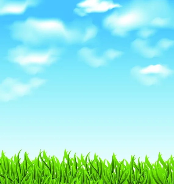 Illustration Summer Background Green Grass Sky Vector — Stock Vector