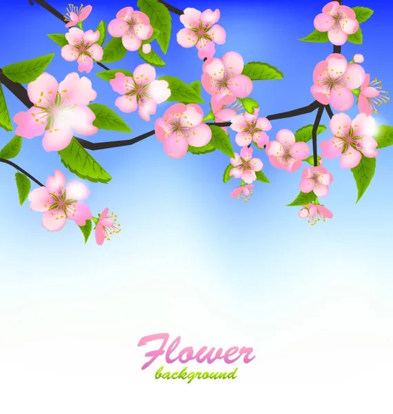 Ilustración Fondo Primavera Una Rama Árbol Floreciente Con Flores Vector — Vector de stock