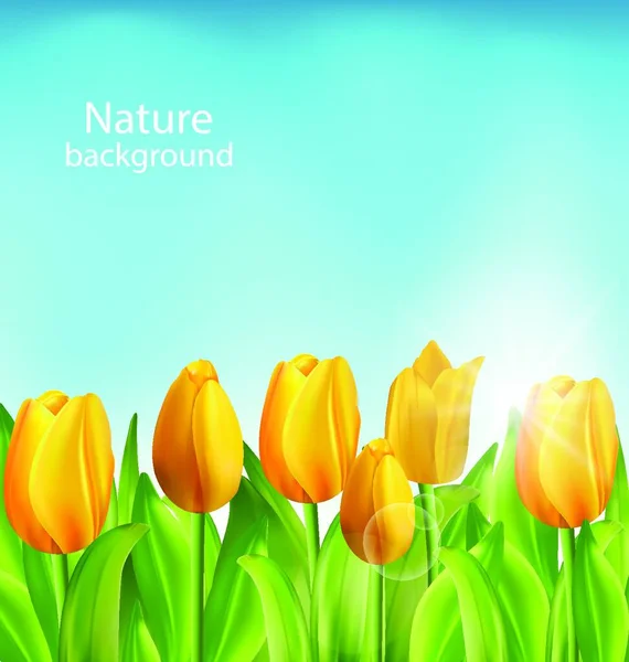 Εικονογράφηση Φύση Floral Φόντο Τουλίπες Λουλούδια Και Blue Sky Άνοιξη — Διανυσματικό Αρχείο