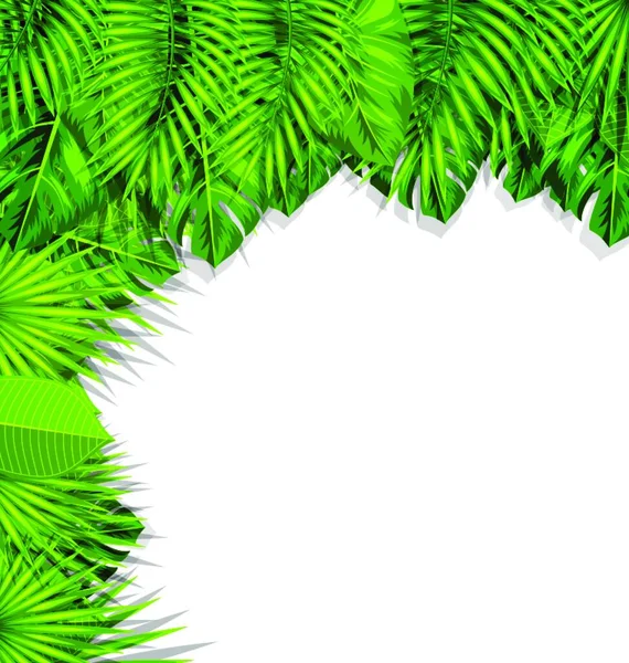 Ilustração Fundo Natural Verão Com Folhas Tropicais Verdes Ilustração Fundo —  Vetores de Stock