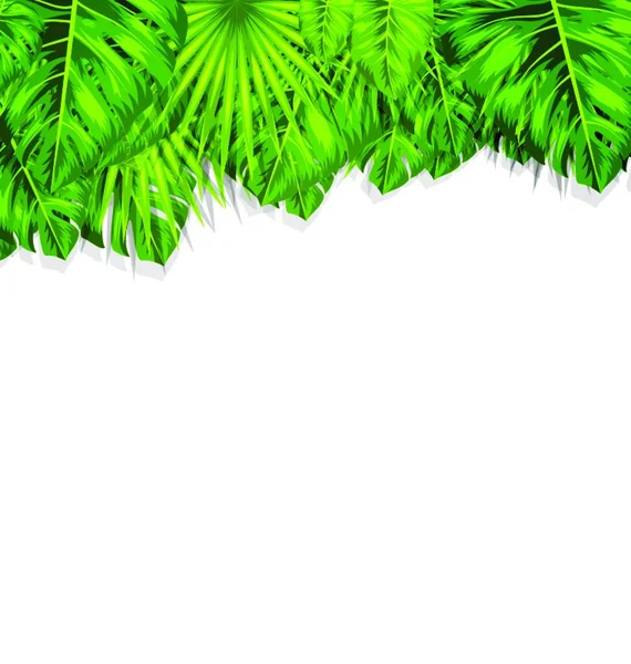 Marco Natural Ilustración Con Hojas Tropicales Verdes Hermoso Fondo Verano — Vector de stock