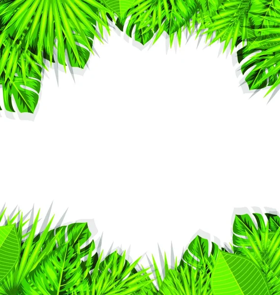 Sommer Frischer Hintergrund Mit Tropischen Blättern Illustration Sommer Frischer Hintergrund — Stockvektor