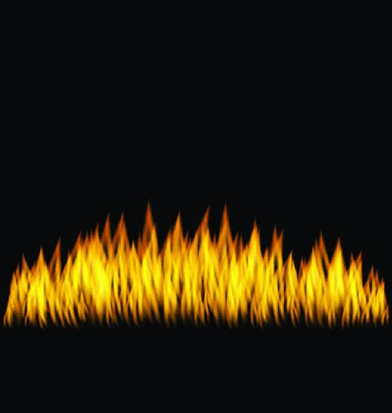 Realistische Flamme Isoliert Illustration Realistische Feuerflamme Auf Schwarzem Hintergrund Vektor — Stockvektor
