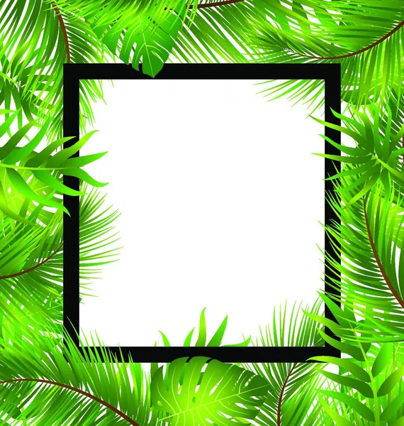 Schöne Border Mit Tropischen Palmblättern Illustration Schöne Bordüre Mit Tropischen — Stockvektor