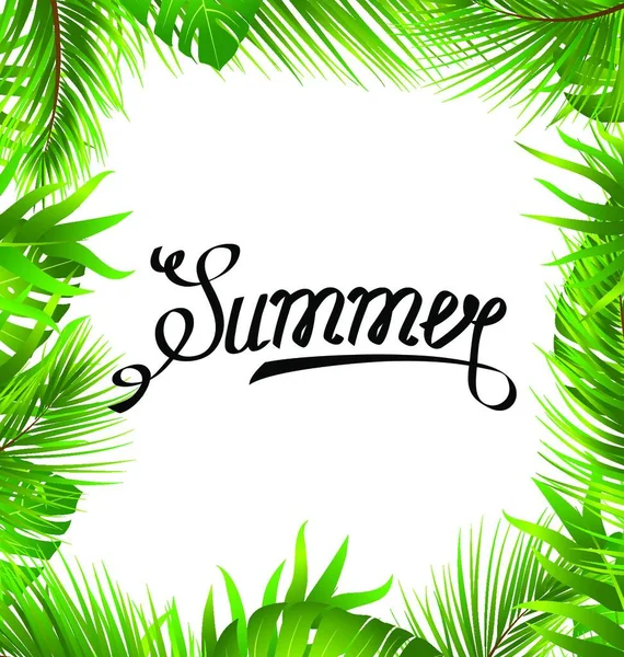 Lettering Text Summer Border Made Palm Leaves Lettering Texto Verão — Vetor de Stock