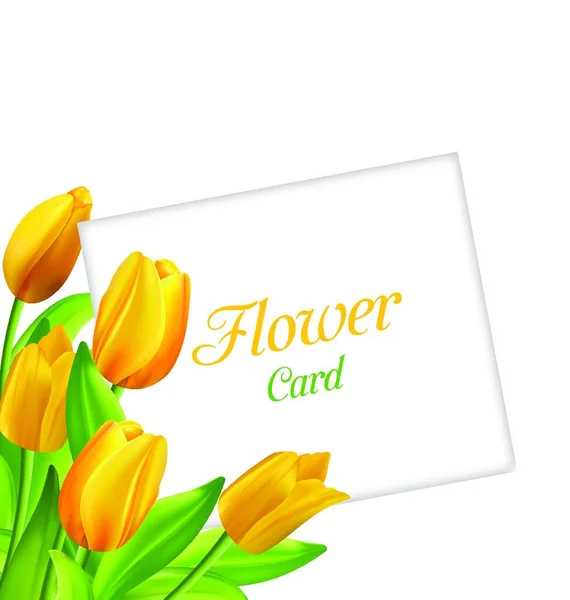 Nature Flower Card Con Tulipanes Invitación Para Día Mujer Ilustración — Vector de stock