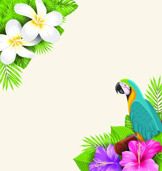 Frontera Exótica Con Loro Ara Flores Plumeria Hibiscus Ilustración Frontera — Archivo Imágenes Vectoriales