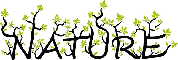 Naturtext Aus Zweigen Und Blättern — Stockvektor