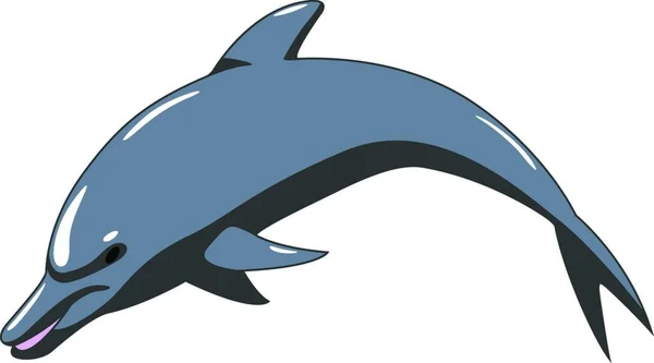 Dolfin Sobre Fondo Blanco — Vector de stock