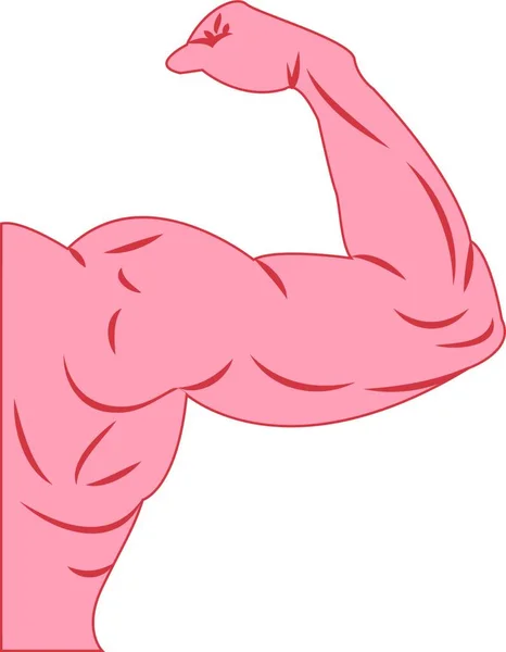 Strong Power Muscle Arms Athlete Bodybuilder Vector Illustration White Background — Stock Vector