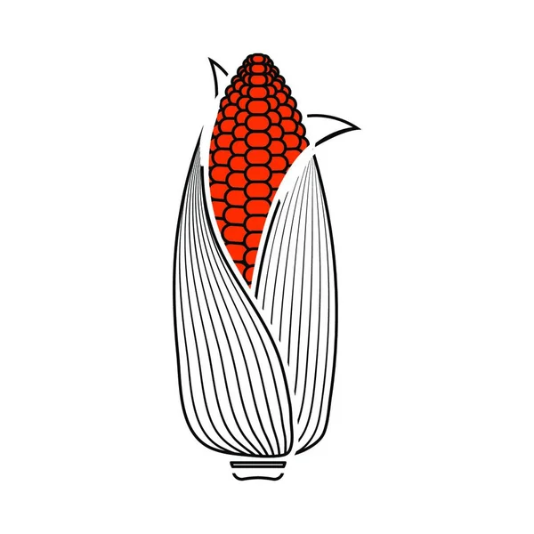 玉米图标 细线与橙色填充设计 矢量插图 — 图库矢量图片