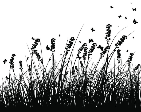 夏季草地背景与蝴蝶 矢量插图 — 图库矢量图片