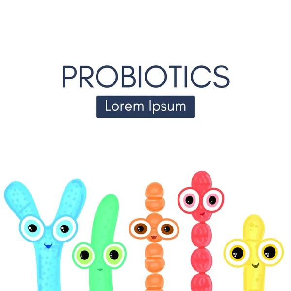 Probióticos Bacteria Del Ácido Láctico Bifidobacterias Lactobacilos Estreptococos Termófilos Lactococos — Vector de stock