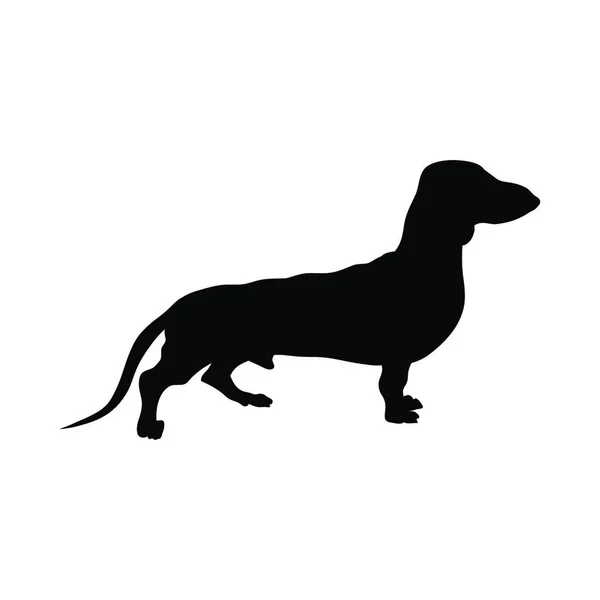 Силуэт Собак Таксы Гладкая Векторная Иллюстрация — стоковый вектор