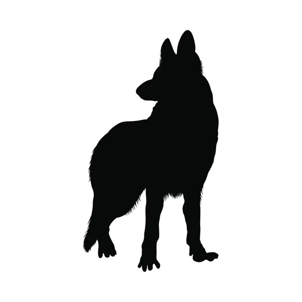 德国牧羊犬剪影 平滑矢量插图 — 图库矢量图片