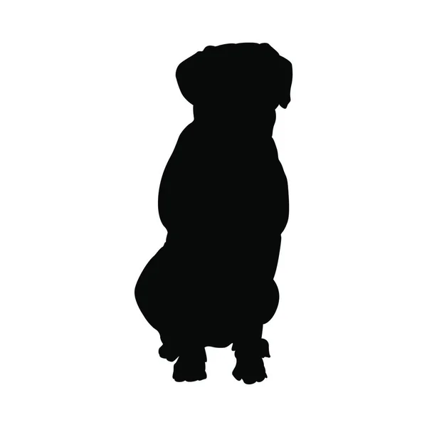 Dalmatiner Hundesilhouette Reibungslose Vektordarstellung — Stockvektor