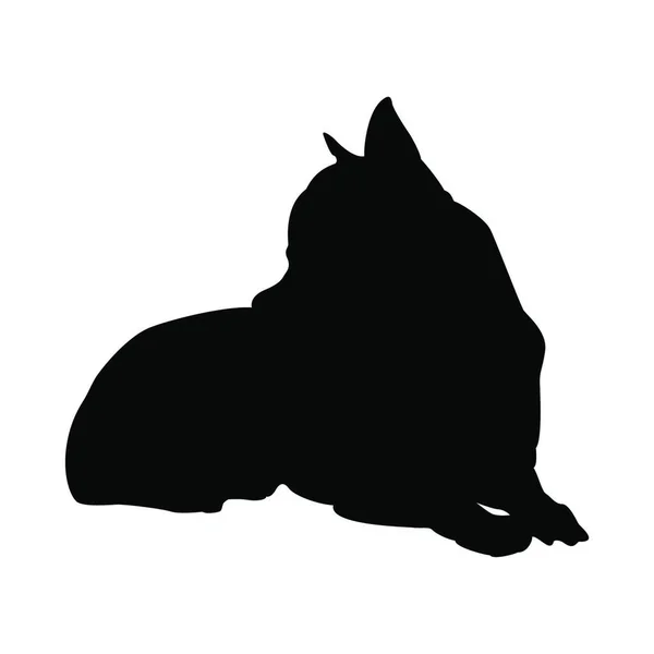 Silueta Perro Chihuahua Ilustración Vectorial Suave — Vector de stock