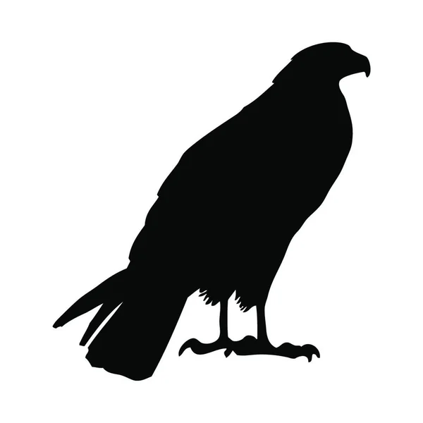 Vogelsilhouette Vektorillustration — Stockvektor